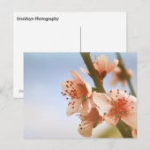 bloesems briefkaart (Voorkant / Achterkant)