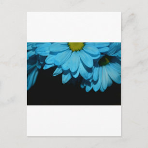 Bloesems Daisy Flowers Peace Love Natuur Destiny Briefkaart