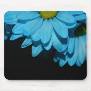 Bloesems Daisy Flowers Peace Love Natuur Destiny Muismat