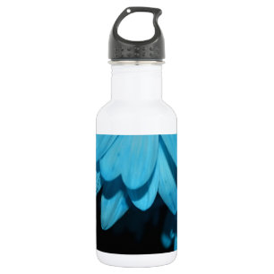 Bloesems Daisy Flowers Peace Love Natuur Destiny Waterfles