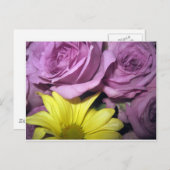 Bloesems Daisy Rozen houden van Destiny Briefkaart (Voorkant / Achterkant)