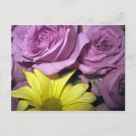 Bloesems Daisy Rozen houden van Destiny Briefkaart