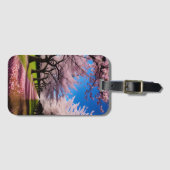 Bloesems in Bloom: Rijen van kersenbomen in de len Bagagelabel (Voorkant (horizontaal))