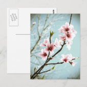 bloesems in het voorjaar briefkaart (Voorkant / Achterkant)