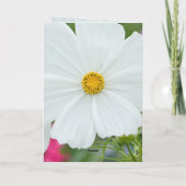 bloesems kaart (Achterkant)