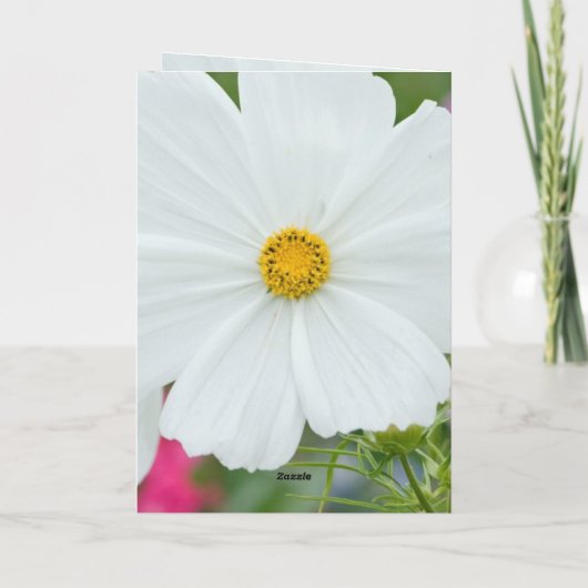 bloesems kaart (Achterkant)