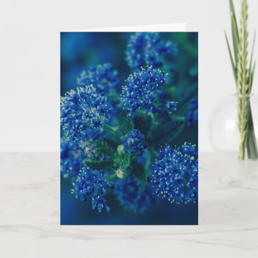 Bloesems Kaart (Voorkant)