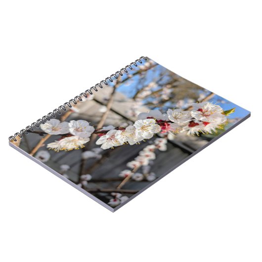 Bloesems Notitieboek (Linkerzijde)