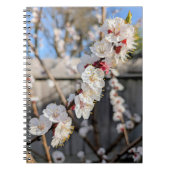 Bloesems Notitieboek (Voorkant)