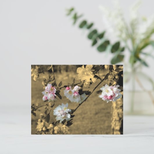 Bloesems op Sepia het Briefkaart van de Bloem (Staand voorkant)
