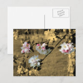 Bloesems op Sepia het Briefkaart van de Bloem (Voorkant / Achterkant)