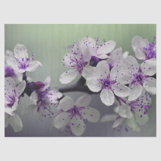 bloesems tissuepapier (Voorkant)