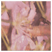 Bloesems van de lente..... stof (Close Up)