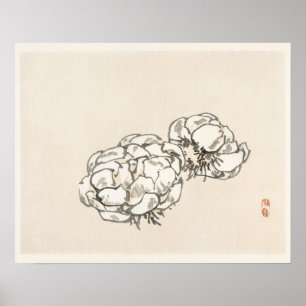 Bloesems van Kono Bairei (1844-1895) Poster