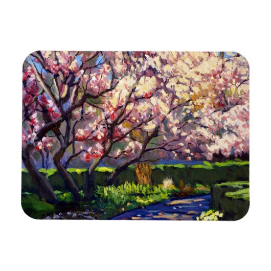 Bloesems van witte levendige paarse en rode magneet (Horizontaal)