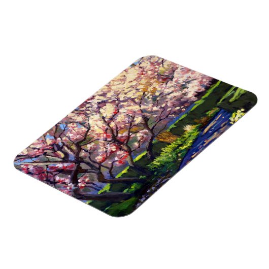 Bloesems van witte levendige paarse en rode magneet (Linkerzijde)