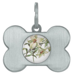 bloesems witte lelie van de bloemen de vintage huisdieren naamplaatje