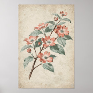 Bloesemtak van de kornoelje botanische studie poster