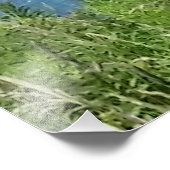 Blok Island Bluffs - Block Island, Rhode Island Foto Afdruk (Hoek)