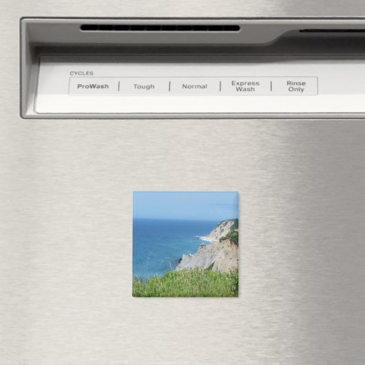 Blok Island Bluffs - Block Island, Rhode Island Magneet (Insitu (Vaatwasser))