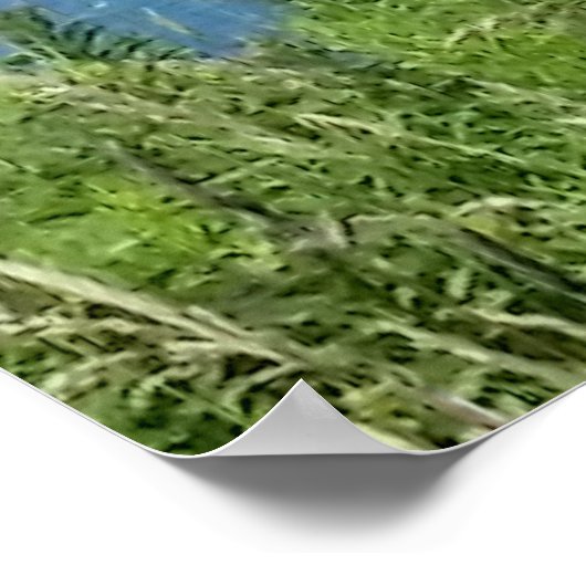 Blok Island Bluffs - Block Island, Rhode Island Poster (Hoek)