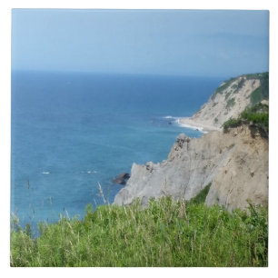 Blok Island Bluffs - Block Island, Rhode Island Tegeltje