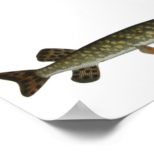 Blok - poster met snoepjes (Hoek)