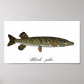 Blok - poster met snoepjes (Voorkant)