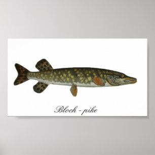 Blok - poster met snoepjes