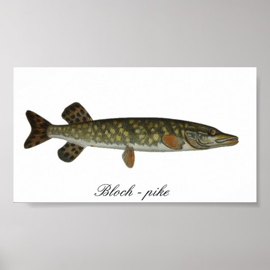 Blok - poster met snoepjes (Voorkant)