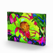 Blok van acrylveer (Rechts)