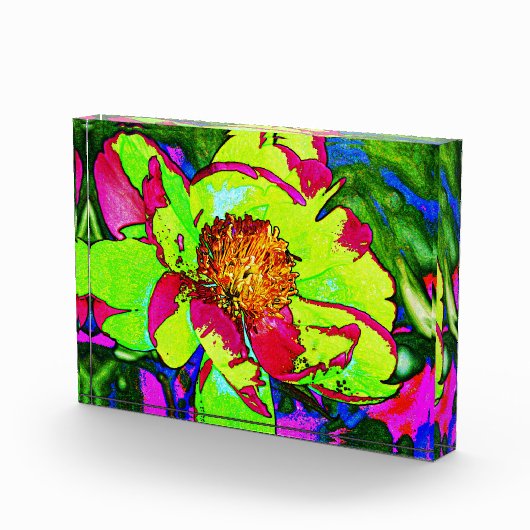 Blok van acrylveer (Rechts)