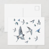 Blok van de gevechtsvogels ter illustratie briefkaart (Voorkant / Achterkant)