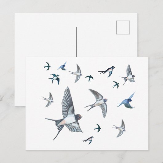 Blok van de gevechtsvogels ter illustratie briefkaart (Voorkant / Achterkant)