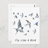 Blok van de gevechtsvogels ter illustratie briefkaart (Voorkant / Achterkant)