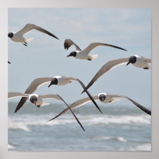 Blok van de strand die in de buurt van de oceaan v poster (Voorkant)