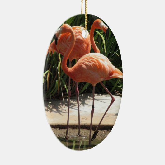 Blok van Flamingos Ornament (Rechts)