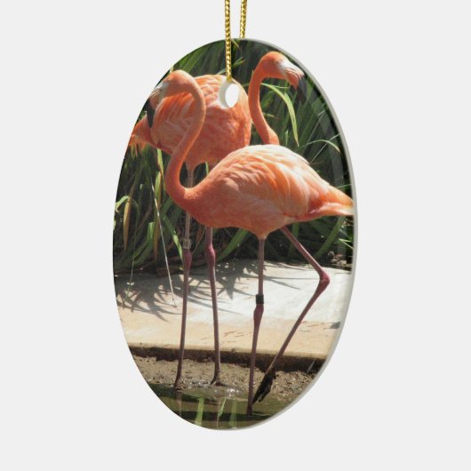 Blok van Flamingos Ornament (Links)