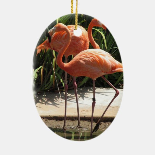 Blok van Flamingos Ornament (Achterkant)