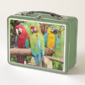 Blok van kleurrijke Macaw-parrots (Voorkant)