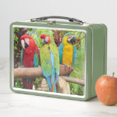 Blok van kleurrijke Macaw-parrots (In situ)