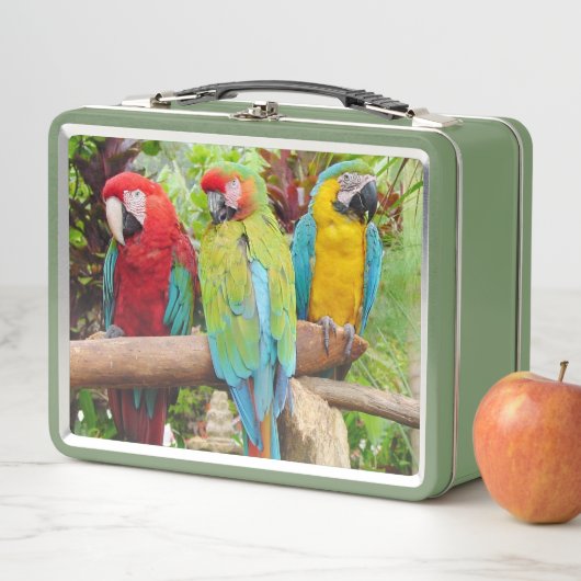 Blok van kleurrijke Macaw-parrots (In situ)