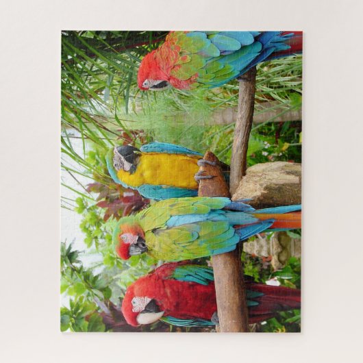 Blok van kleurrijke Macaw-parrots Legpuzzel (Verticaal)