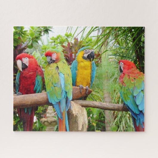 Blok van kleurrijke Macaw-parrots Legpuzzel (Horizontaal)