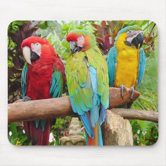 Blok van kleurrijke Macaw-parrots Muismat (Voorkant)
