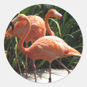 Blok van slagpijpjes ronde sticker
