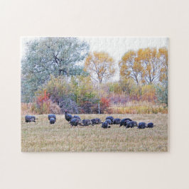Blok van wilde kalkoenen in een veld legpuzzel