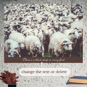 Blok van witte en zwarte schapen poster