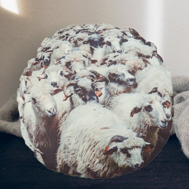 Blok van witte en zwarte schapen rond kussen (Creator heeft geüpload)