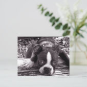 Blokkaartje voor de grote Boston Briefkaart (Staand voorkant)